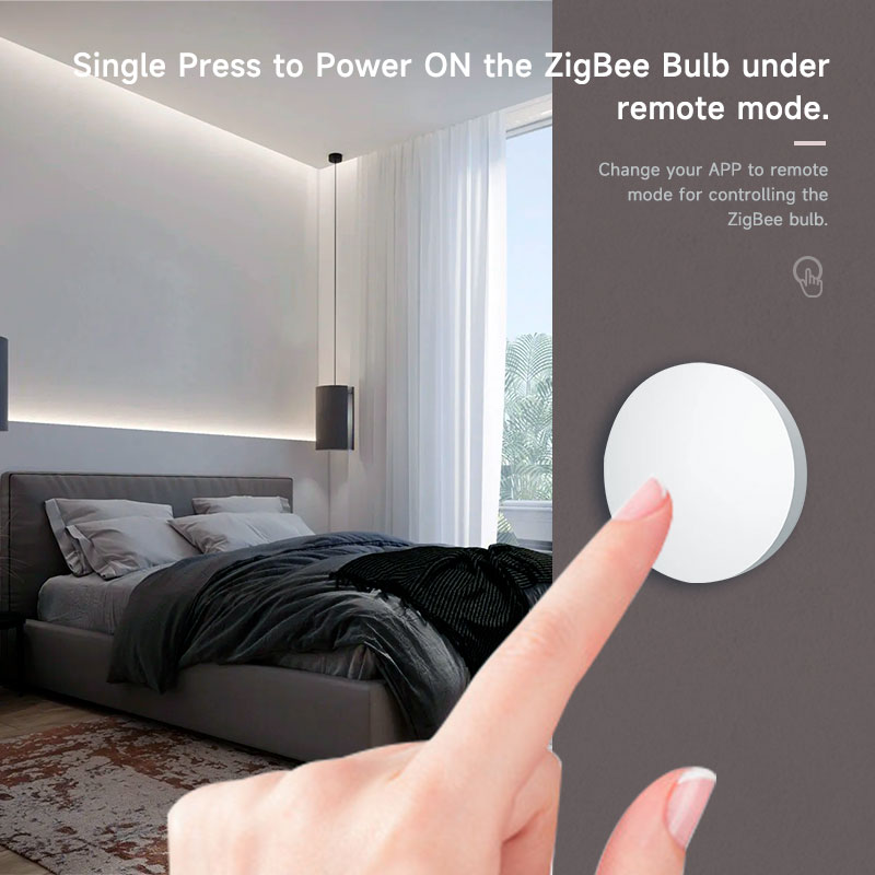 Zigbee3.0 2MQTT Smart Button S - Diy Electronics Button review and price
